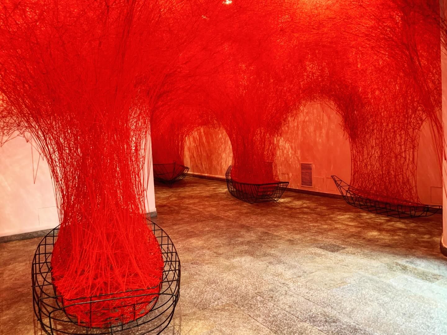 587548987_17992953233857081_8214299552953391222_n